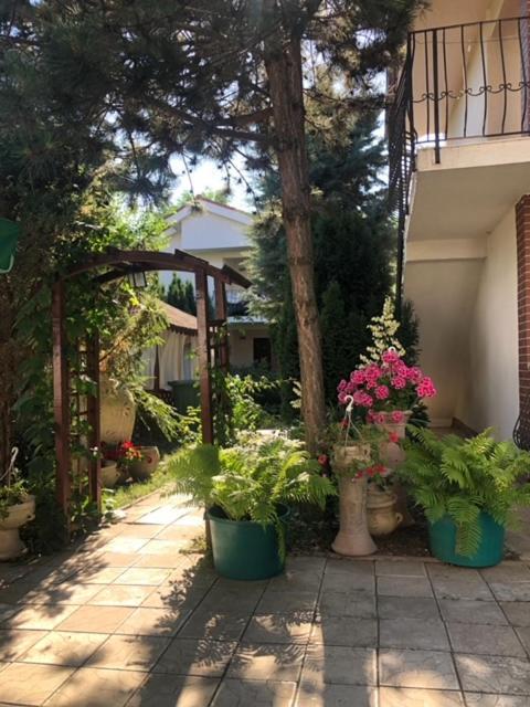 Suzana Garden Hotel Venus Bagian luar foto